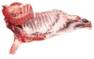 Frozen Beef Forequarter For Sale