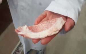 Frozen Pork Moonbones For Sale