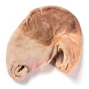Frozen Pork Stomach For Sale
