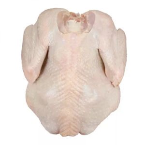 Chicken Gizzards For Sale