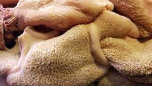 Beef Tripe