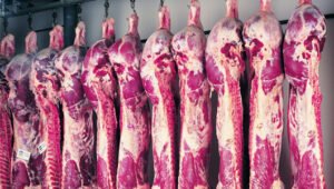 Beef Carcasses