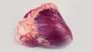 Beef Heart