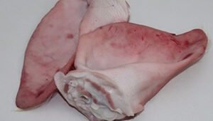 Frozen Pork Whole Ears For Sale