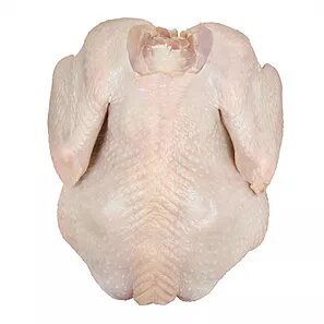 Fresh whole chicken For Sale